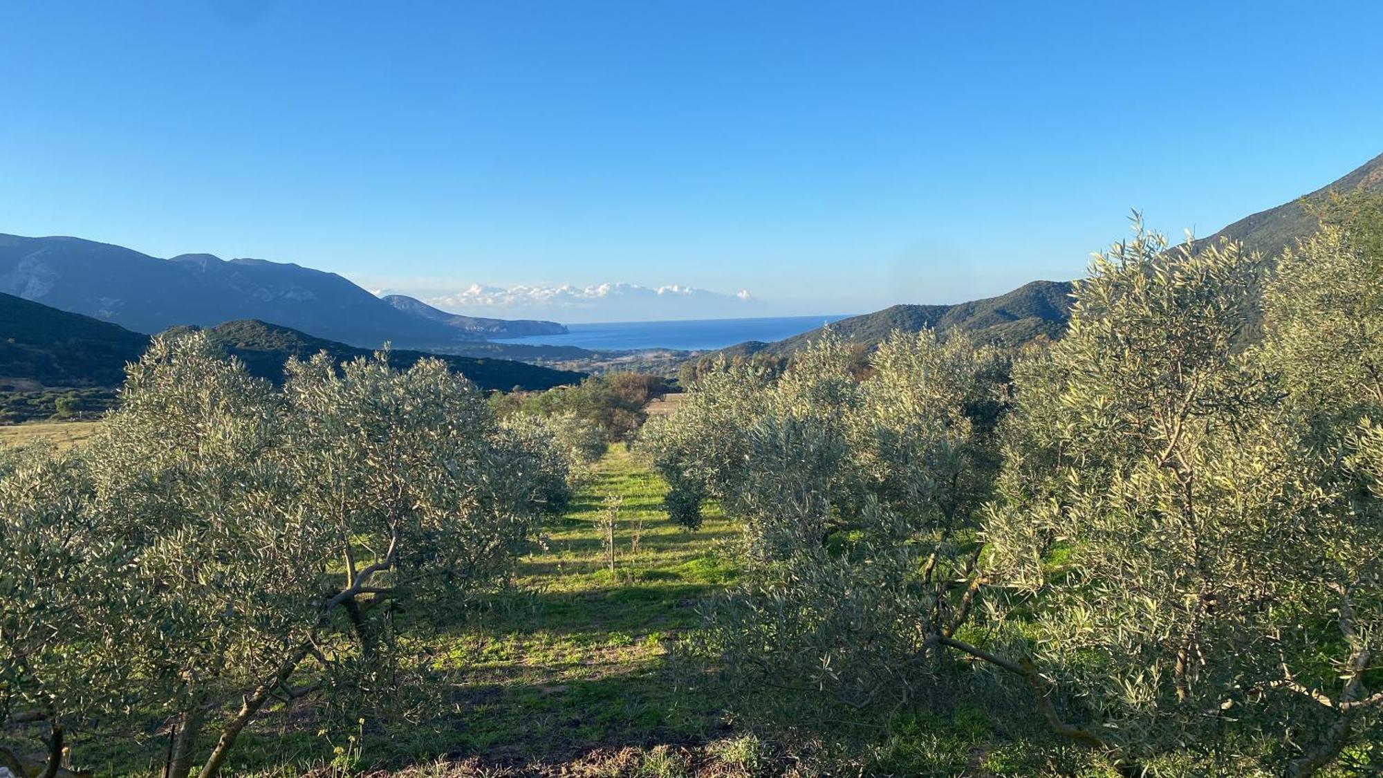 Agriturismo Il Ginepro Fluminimaggiore Exterior photo